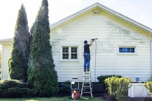 Trusted Rouse, CA Pressure Washing Experts