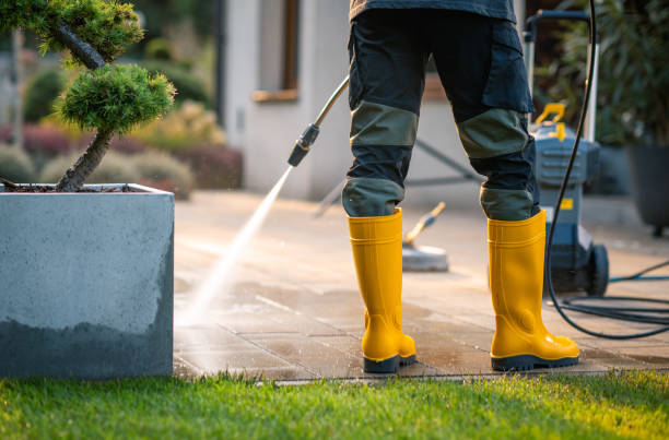 Best Commercial Building Pressure Washing  in Rouse, CA